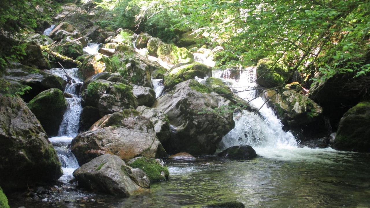 Apartmenthaus Berdnik Kotschach-Mauthen Buitenkant foto